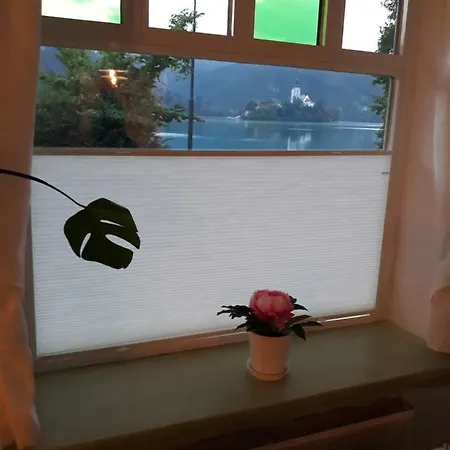 Pletna View Apartment