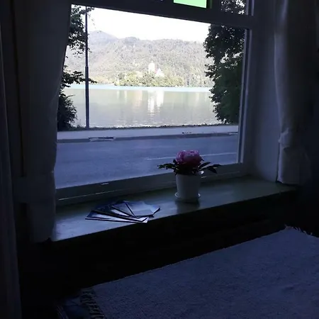 Pletna View Appartement Bled