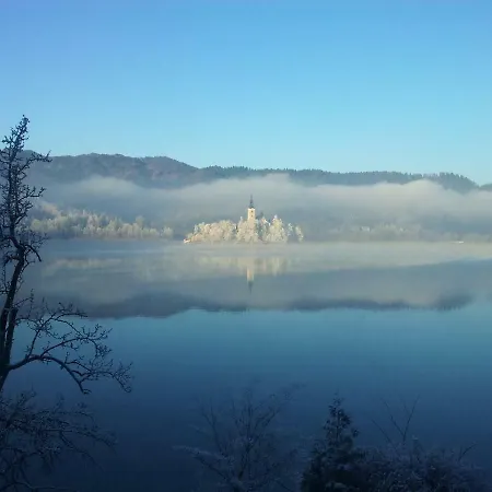 Pletna View Daire Bled