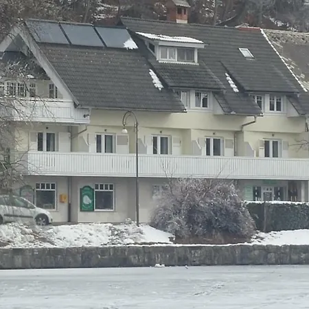 Apartment Pletna View