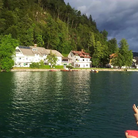 Pletna View Bled