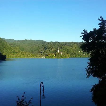 Pletna View * Bled