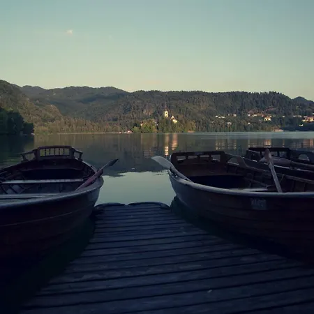 Daire Pletna View Bled