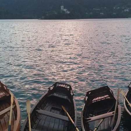 Appartement Pletna View Bled