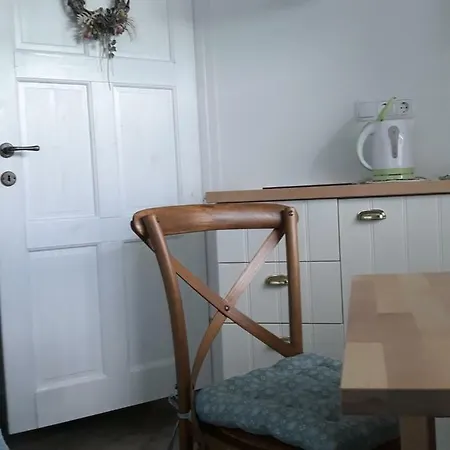 Pletna View Apartment