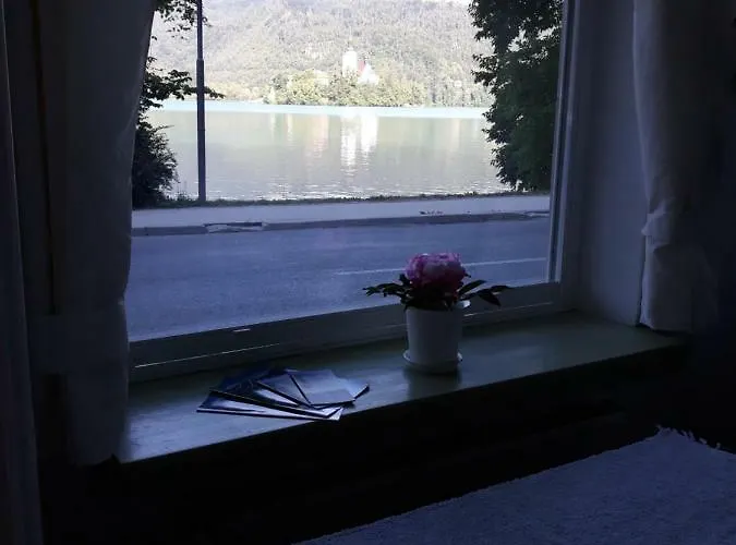 Pletna View Apartamento Bled