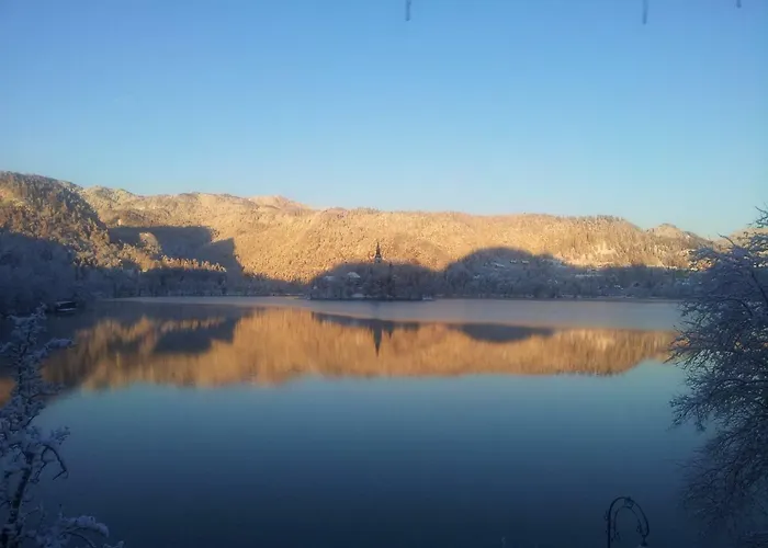 Apartamento Pletna View