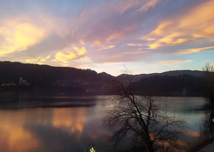 Pletna View Διαμέρισμα *